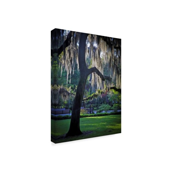 J.D. Mcfarlan 'Forsyth Pk, Savannah' Canvas Art,14x19